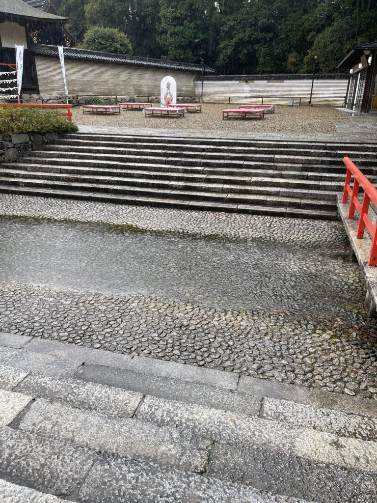 御手洗池（みたらしいけ）